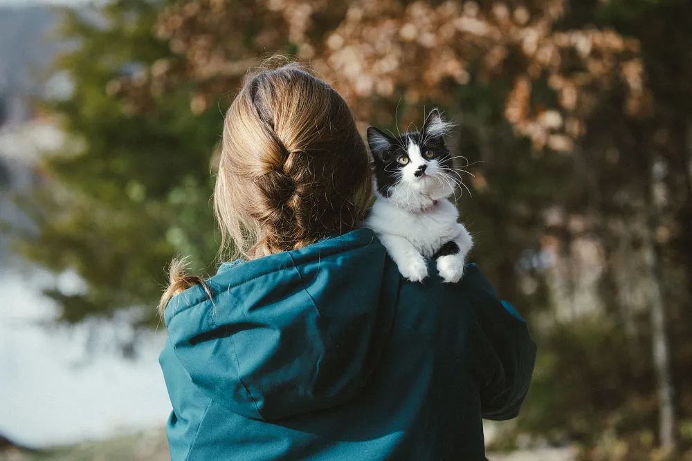 Understanding Your Cat&rsquo;s Immune System